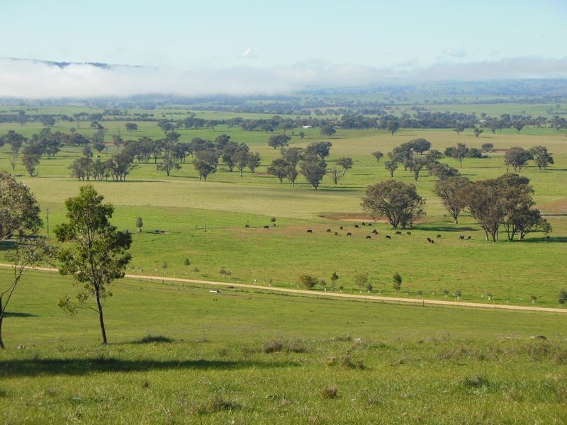 3404 Murringo Rd, Young NSW 2594