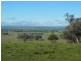 3404 Murringo Rd, Young NSW 2594