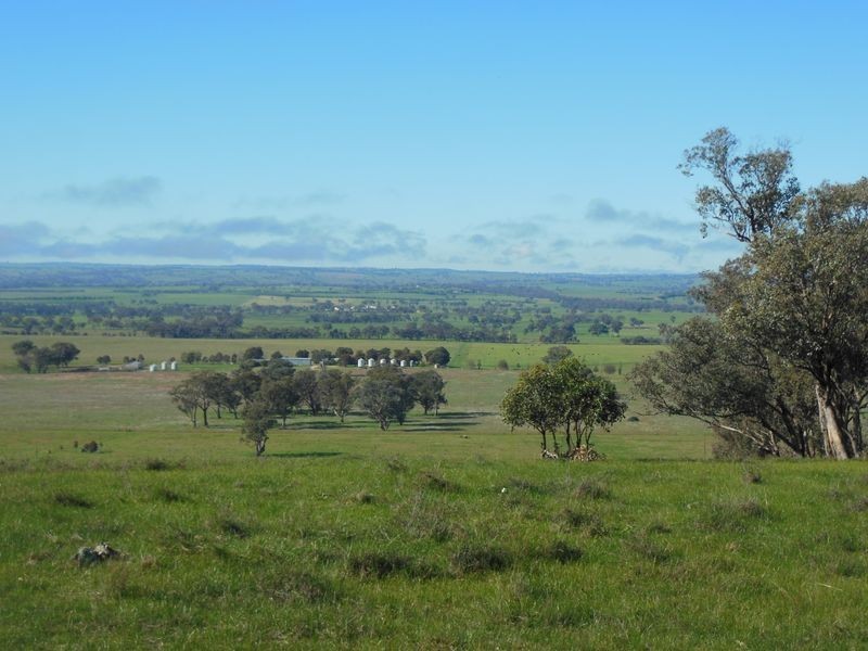 3404 Murringo Rd, Young NSW 2594