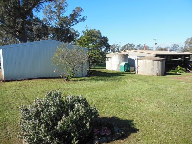 3404 Murringo Rd, Young NSW 2594