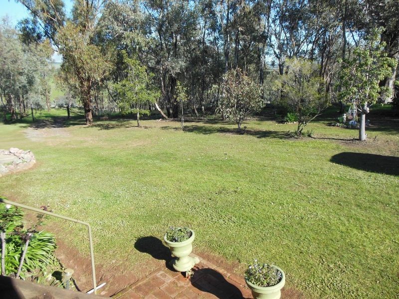 3404 Murringo Rd, Young NSW 2594