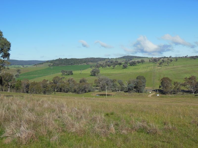 3404 Murringo Rd, Young NSW 2594