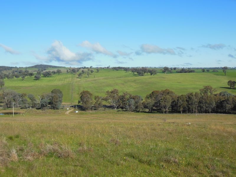 3404 Murringo Rd, Young NSW 2594