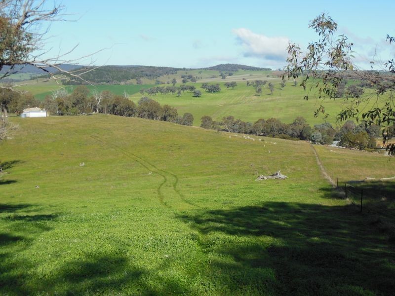 3404 Murringo Rd, Young NSW 2594