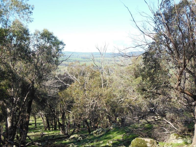 3404 Murringo Rd, Young NSW 2594