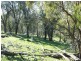 3404 Murringo Rd, Young NSW 2594