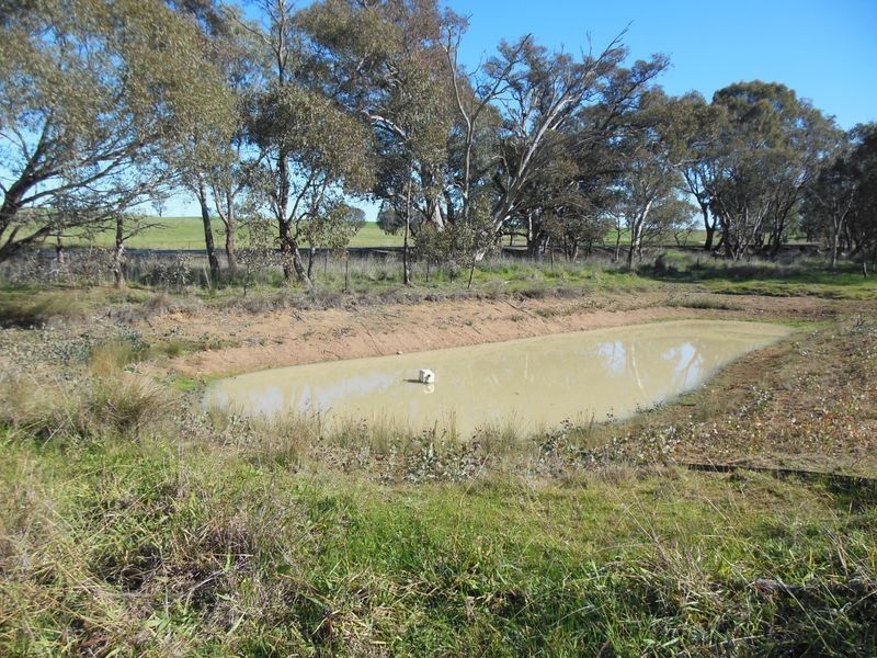 3404 Murringo Rd, Young NSW 2594