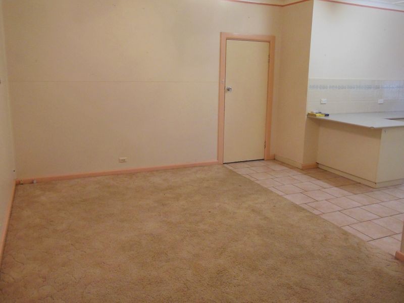 51 William Street, Young NSW 2594