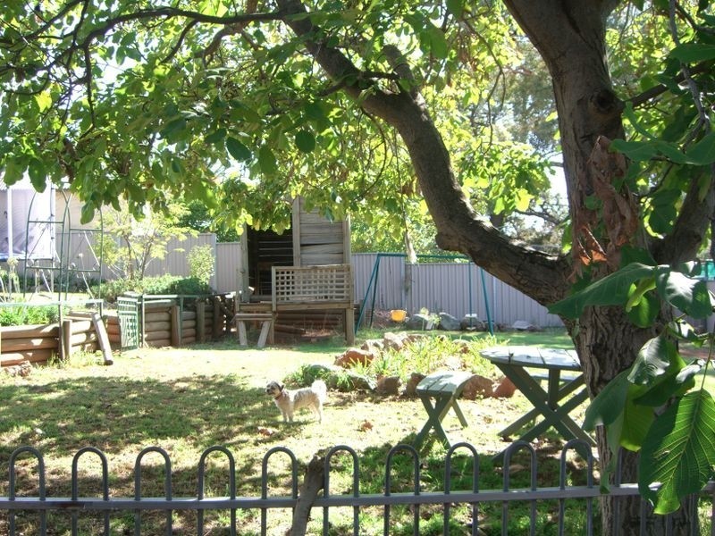 20 Elizabeth Street, Young NSW 2594