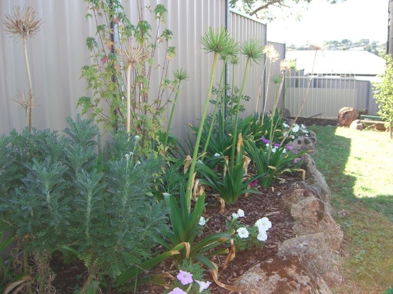 20 Elizabeth Street, Young NSW 2594