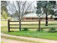 1257 Scenic Rd, Young NSW 2594