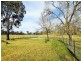 1257 Scenic Rd, Young NSW 2594