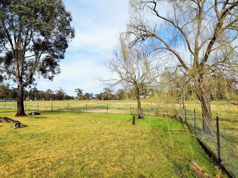 1257 Scenic Rd, Young NSW 2594
