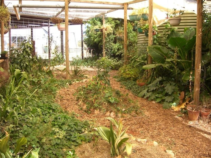 231 Old Monteagle Road, Young NSW 2594