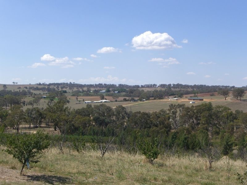 231 Old Monteagle Road, Young NSW 2594