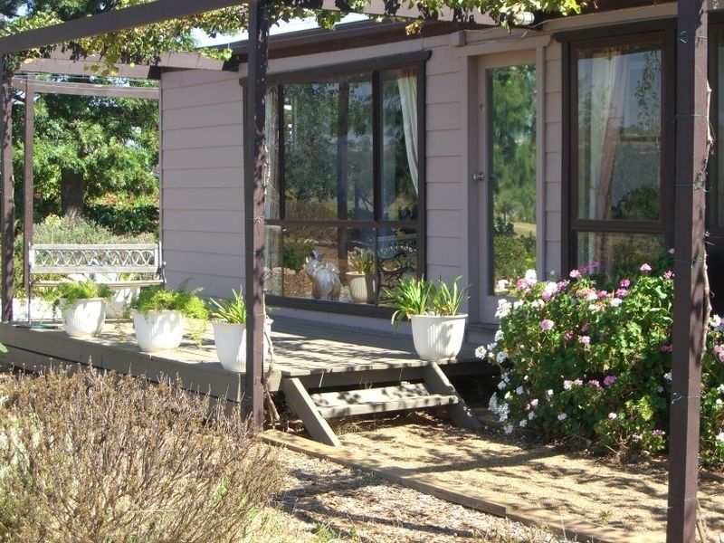 231 Old Monteagle Road, Young NSW 2594