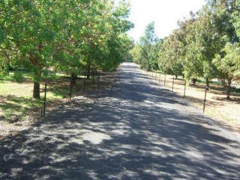 167 Willawong Street, Young NSW 2594