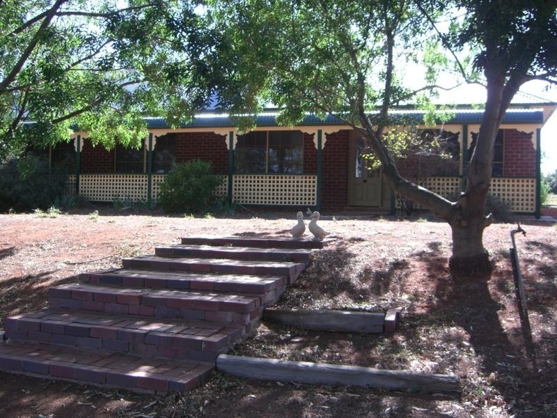 167 Willawong Street, Young NSW 2594