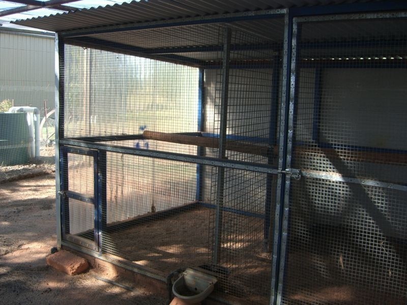 167 Willawong Street, Young NSW 2594