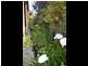 111 Nasmyth Street, Young NSW 2594