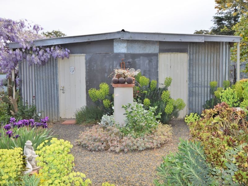 111 Nasmyth Street, Young NSW 2594