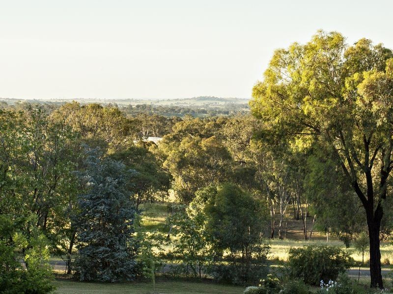 127 Wickham Lane, Young NSW 2594