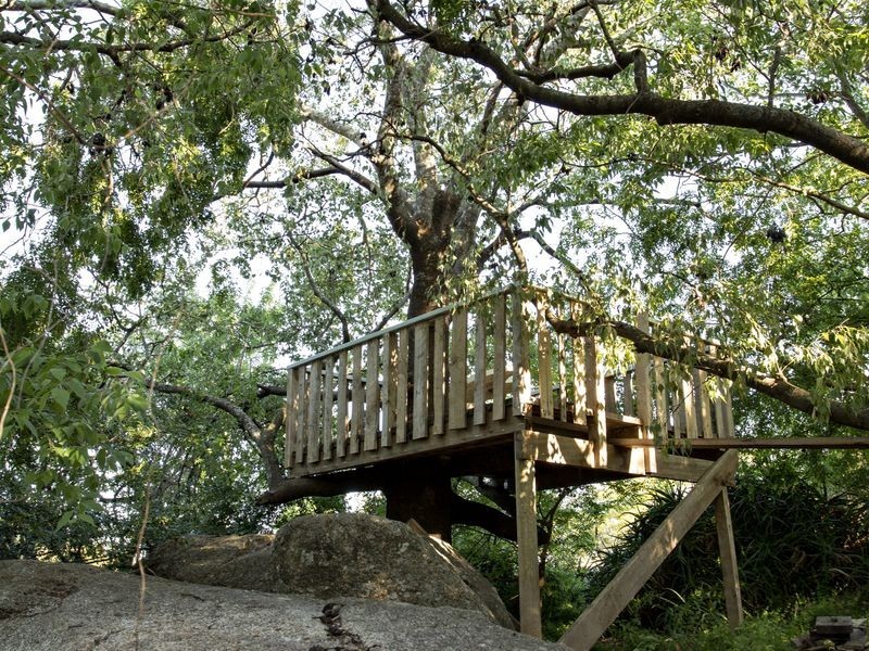 127 Wickham Lane, Young NSW 2594