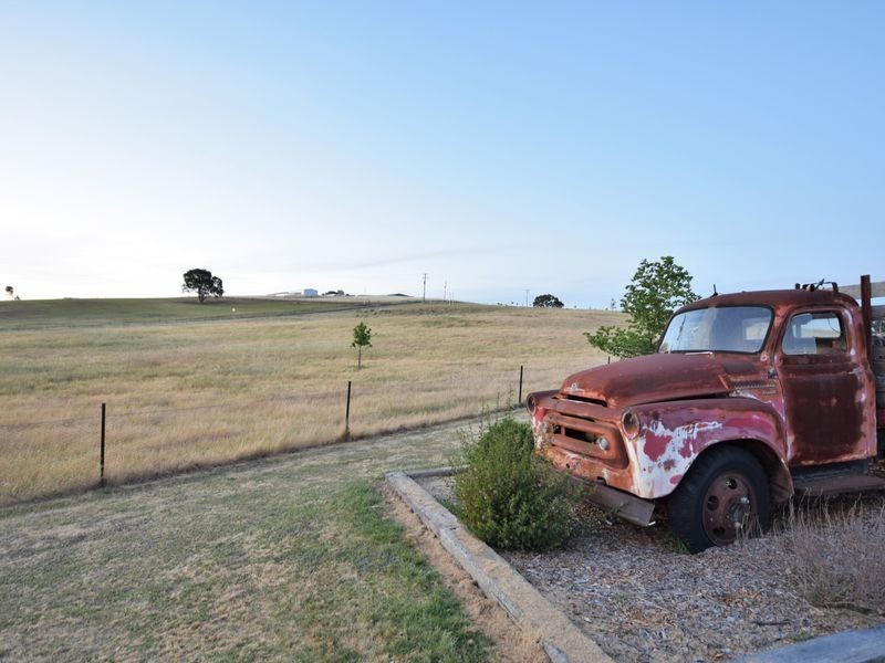 183 Donges Road, Young NSW 2594