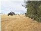 Lot 2 Red Hill Road, Young NSW 2594