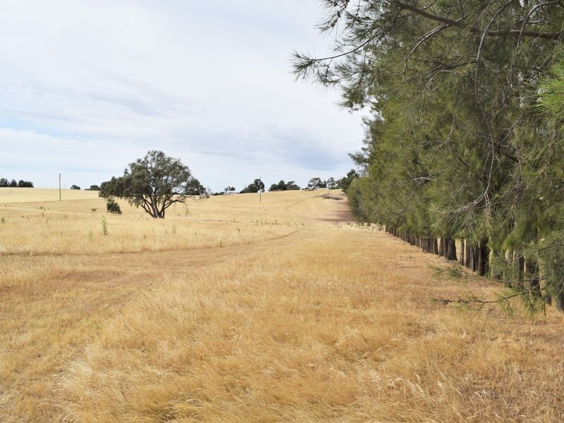 Lot 2 Red Hill Road, Young NSW 2594