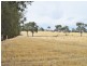 Lot 2 Red Hill Road, Young NSW 2594