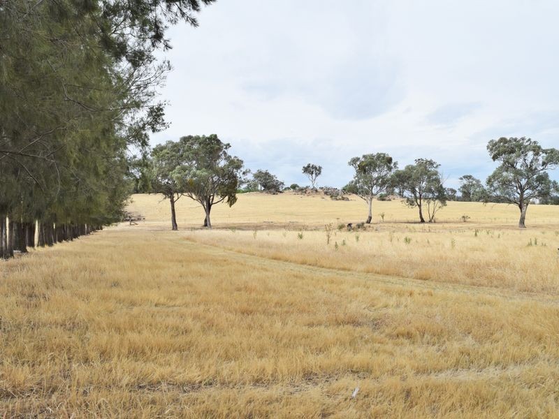 Lot 2 Red Hill Road, Young NSW 2594