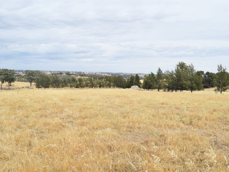 Lot 2 Red Hill Road, Young NSW 2594