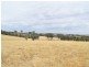 Lot 2 Red Hill Road, Young NSW 2594