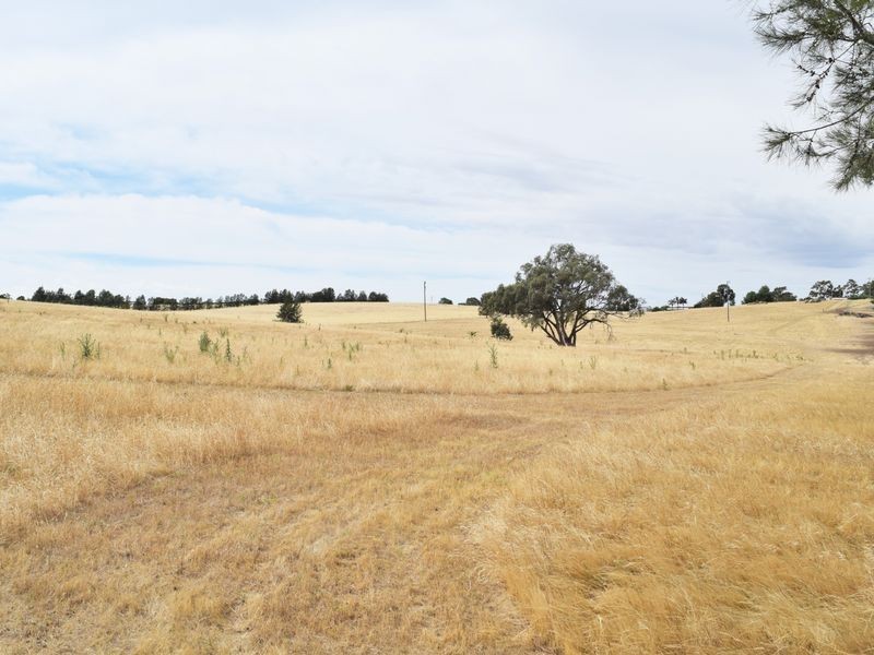 Lot 2 Red Hill Road, Young NSW 2594