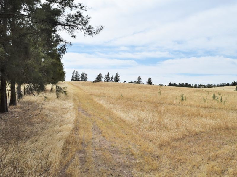 Lot 2 Red Hill Road, Young NSW 2594