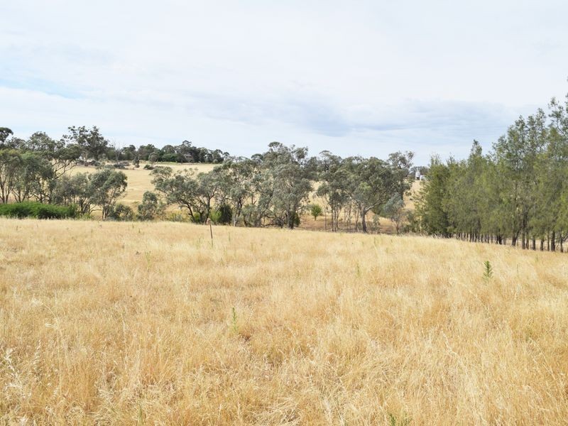 Lot 2 Red Hill Road, Young NSW 2594