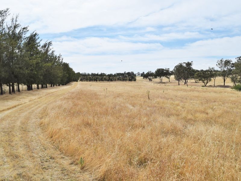 Lot 2 Red Hill Road, Young NSW 2594