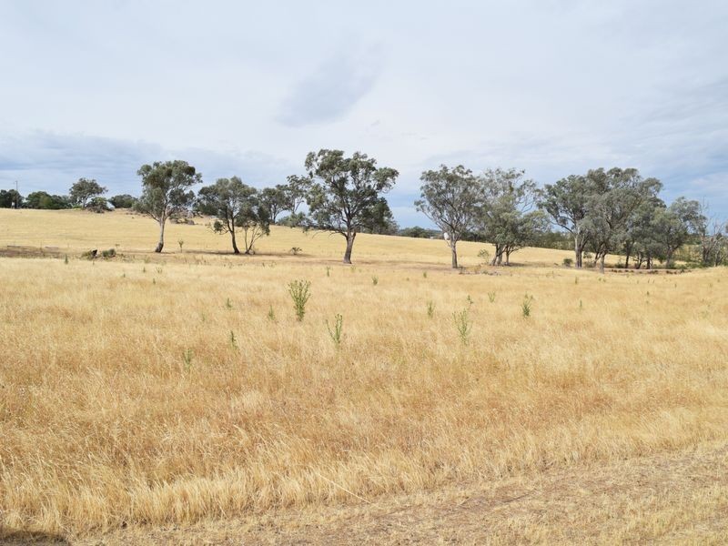 Lot 2 Red Hill Road, Young NSW 2594