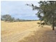 Lot 2 Red Hill Road, Young NSW 2594