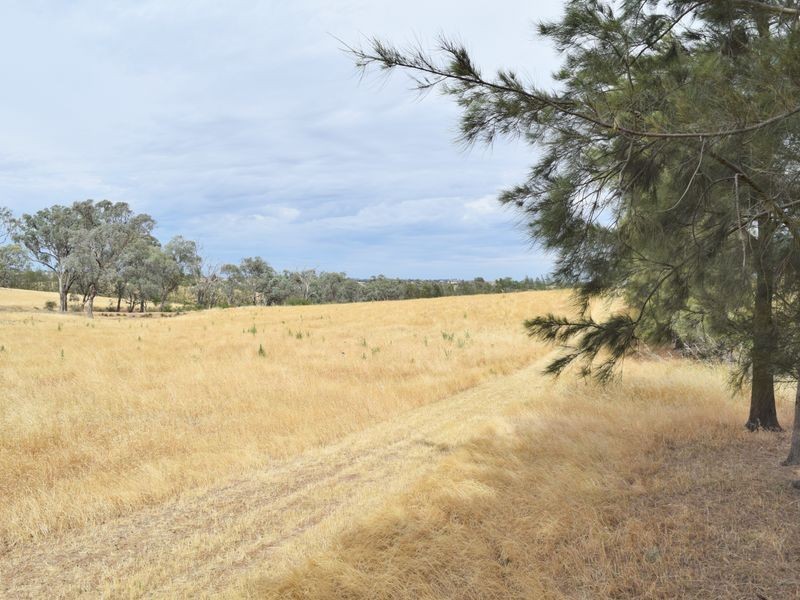 Lot 2 Red Hill Road, Young NSW 2594