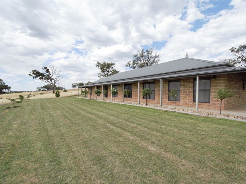 210 Bashams Lane, Young NSW 2594
