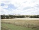 210 Bashams Lane, Young NSW 2594
