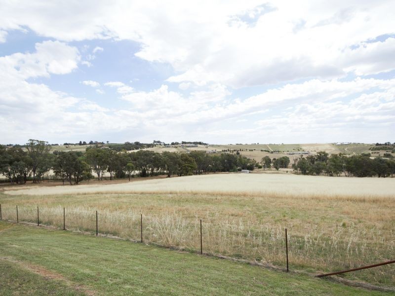 210 Bashams Lane, Young NSW 2594