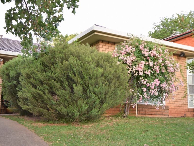 13 Barwang Street, Young NSW 2594