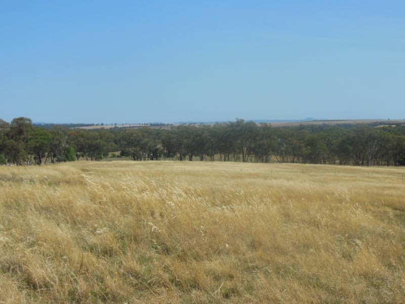 62 Sads Lane Monteagle, Young NSW 2594