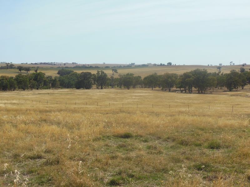 62 Sads Lane Monteagle, Young NSW 2594