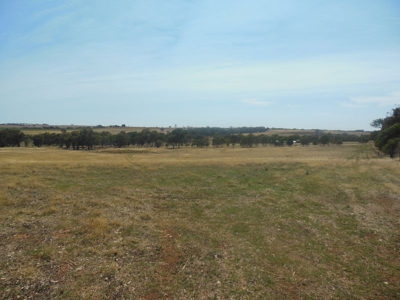 62 Sads Lane Monteagle, Young NSW 2594