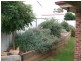 3 Gold Court, Young NSW 2594