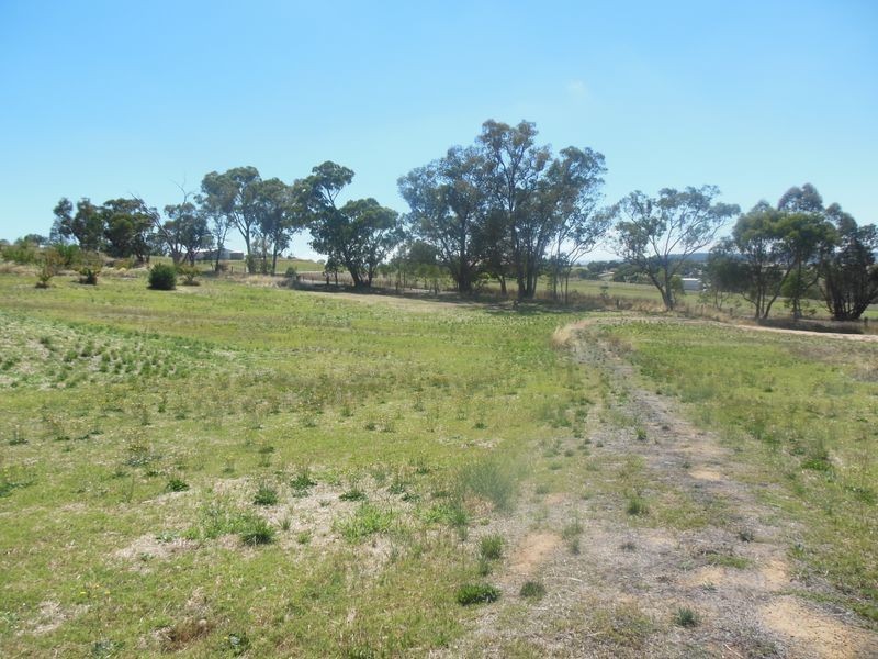 30 Apps Lane, Young NSW 2594